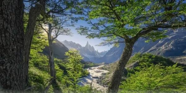 Experiences - Foto 1