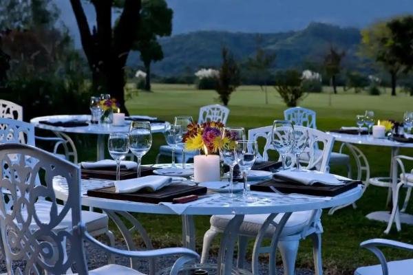 Gastronomy - Foto 13