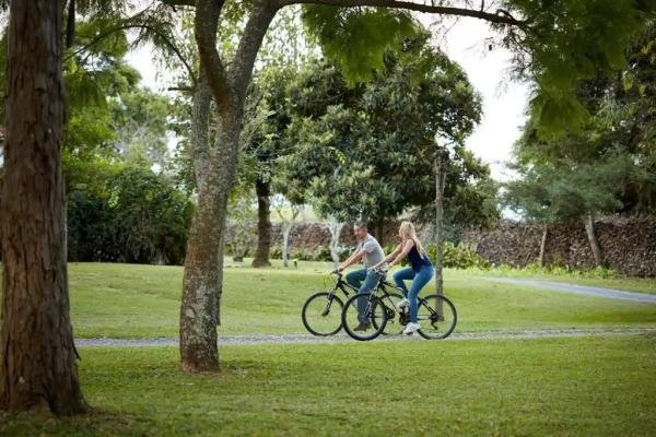 Experiences - Foto 2