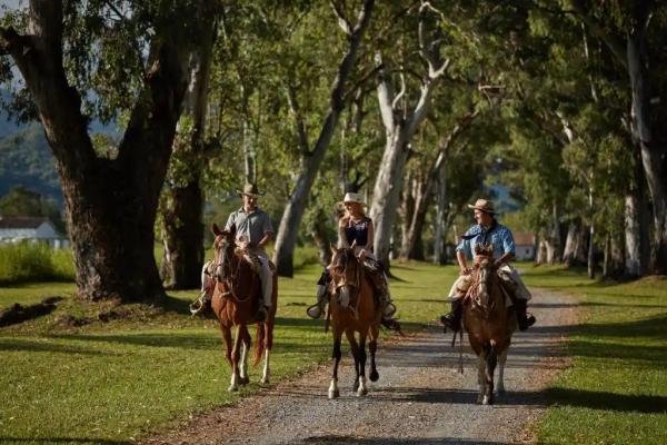 Experiences - Foto 3