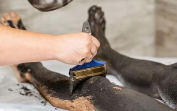 Spa & Relax - Foto 3