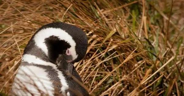 Experiences - Foto 3