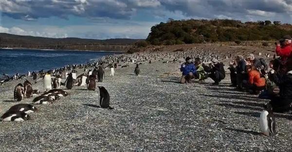 Experiences - Foto 4