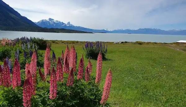 Experiences - Foto 3