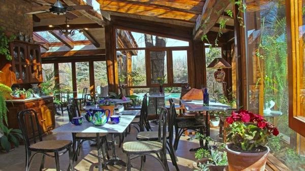 Gastronomy - Foto 12