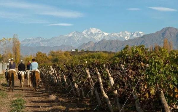 Experiences - Foto 2