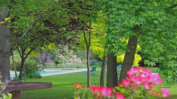 Spa & Relax - Foto 2