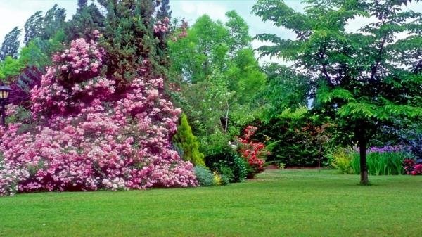 Spa & Relax - Foto 5