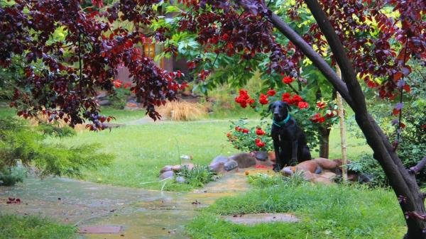 Spa & Relax - Foto 6