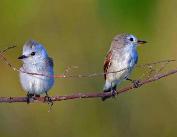 Experiences - Foto 2