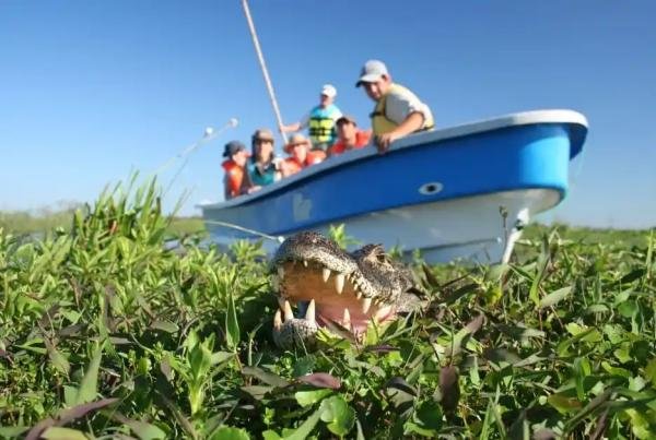 Experiences - Foto 3