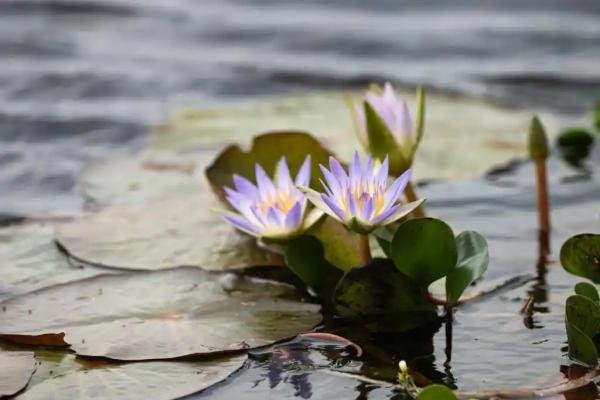 Experiences - Foto 4