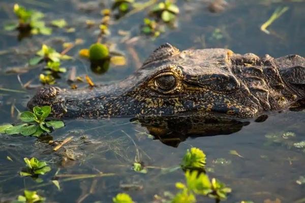 Experiences - Foto 5