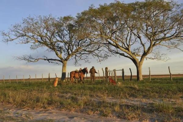 Experiences - Foto 2