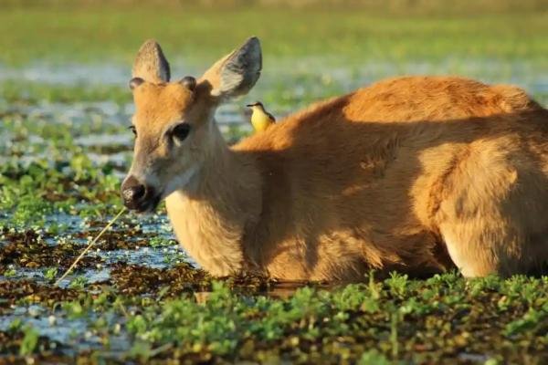 Experiences - Foto 3