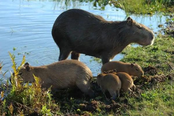 Experiences - Foto 4