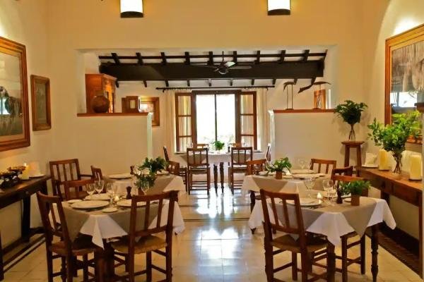 Gastronomy - Foto 5