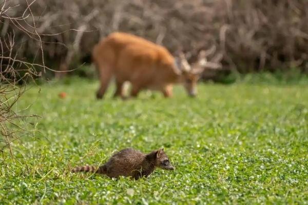 Experiences - Foto 3