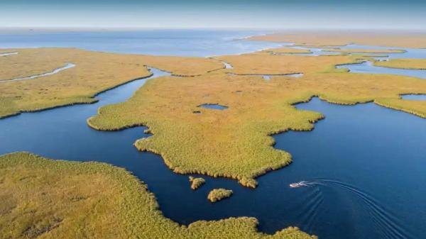 Experiences - Foto 6