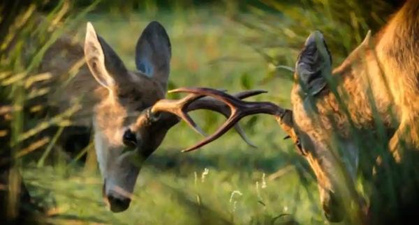 Experiences - Foto 7