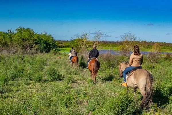 Experiences - Foto 8