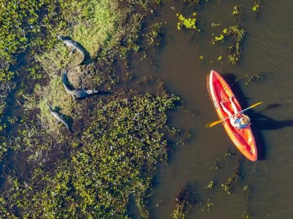 Experiences - Foto 10