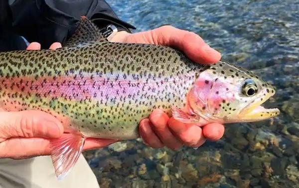 Experiences - Foto 6