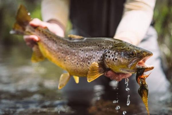 Experiences - Foto 3