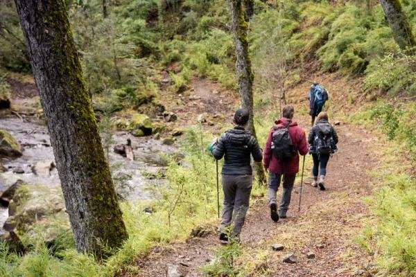 Experiences - Foto 4