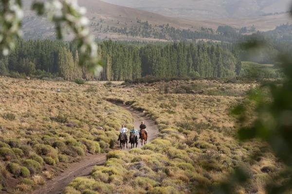 Experiences - Foto 10