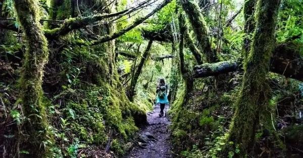 Experiences - Foto 4