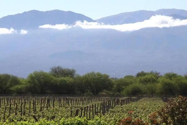 Experiences - Foto 2