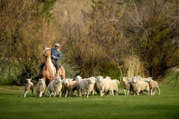 Experiences - Foto 2