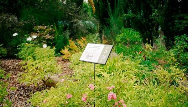 Experiences - Foto 6