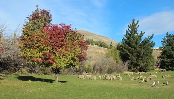 Experiences - Foto 7