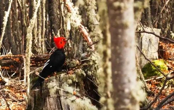 Spa & Relax - Foto 3