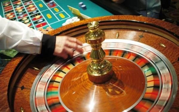 Experiences - Foto 6