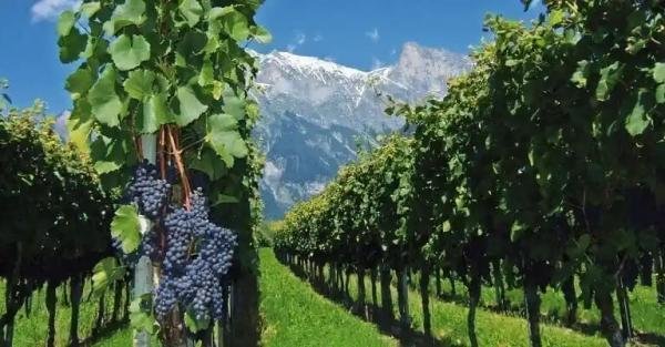 Experiences - Foto 10