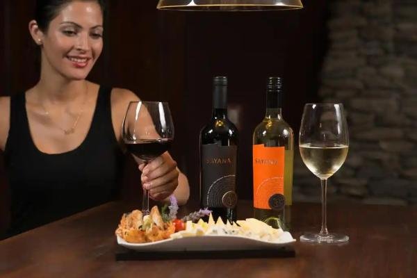 Gastronomy  - Foto 4