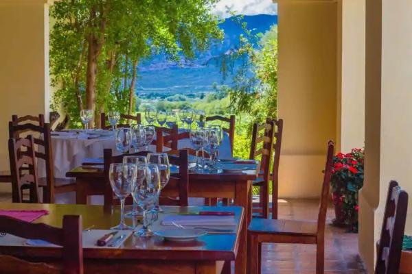 Gastronomy  - Foto 7