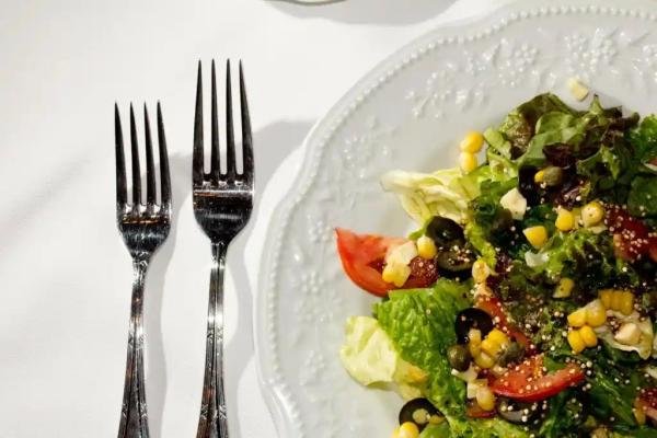 Gastronomy - Foto 5