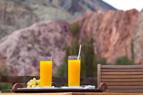 Gastronomy - Foto 7