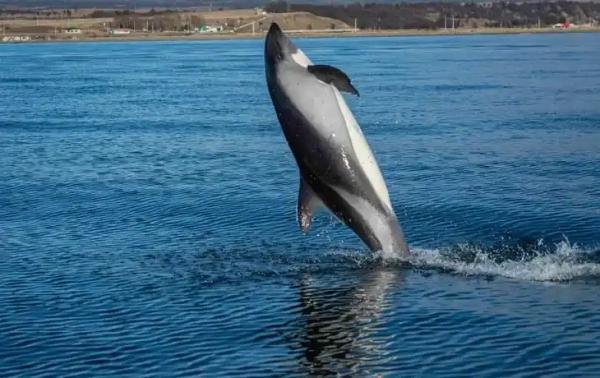 Experiences - Foto 2