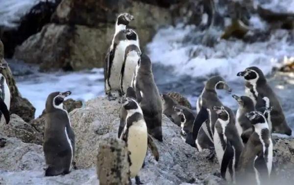 Experiences - Foto 4