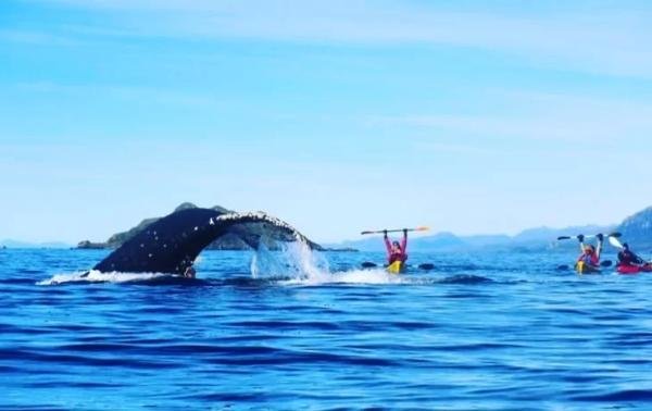 Experiences - Foto 5