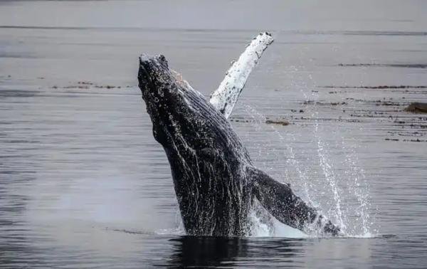 Experiences - Foto 1