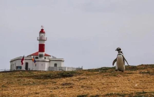 Experiences - Foto 2