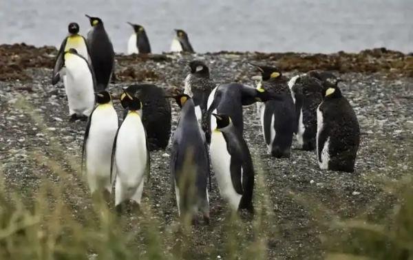 Experiences - Foto 3