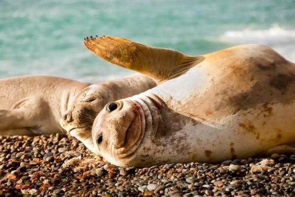 Experiences - Foto 1