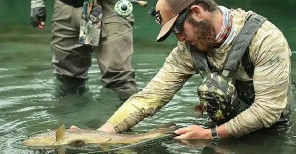 Experiences - Foto 1